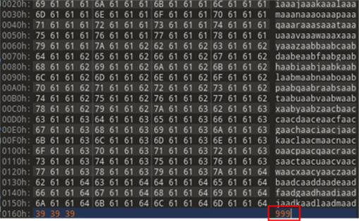 Unique pattern and a signature size of 0x999