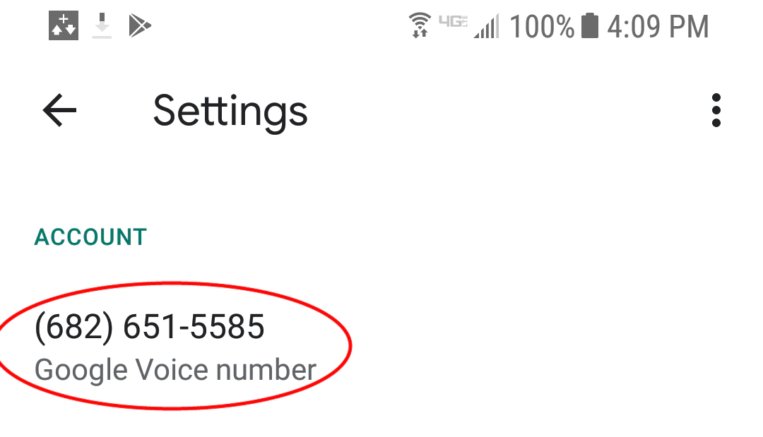 Figure 41: The Google Voice number used to register with temi