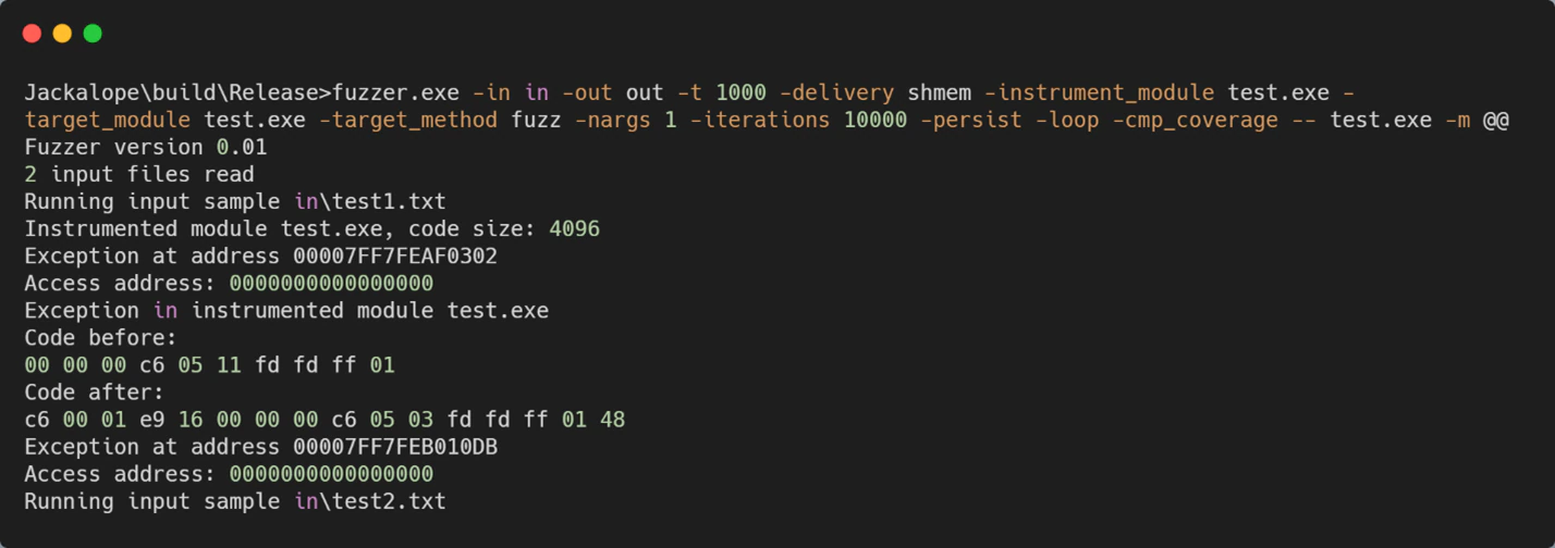 Figure 2. Testing fuzzer
