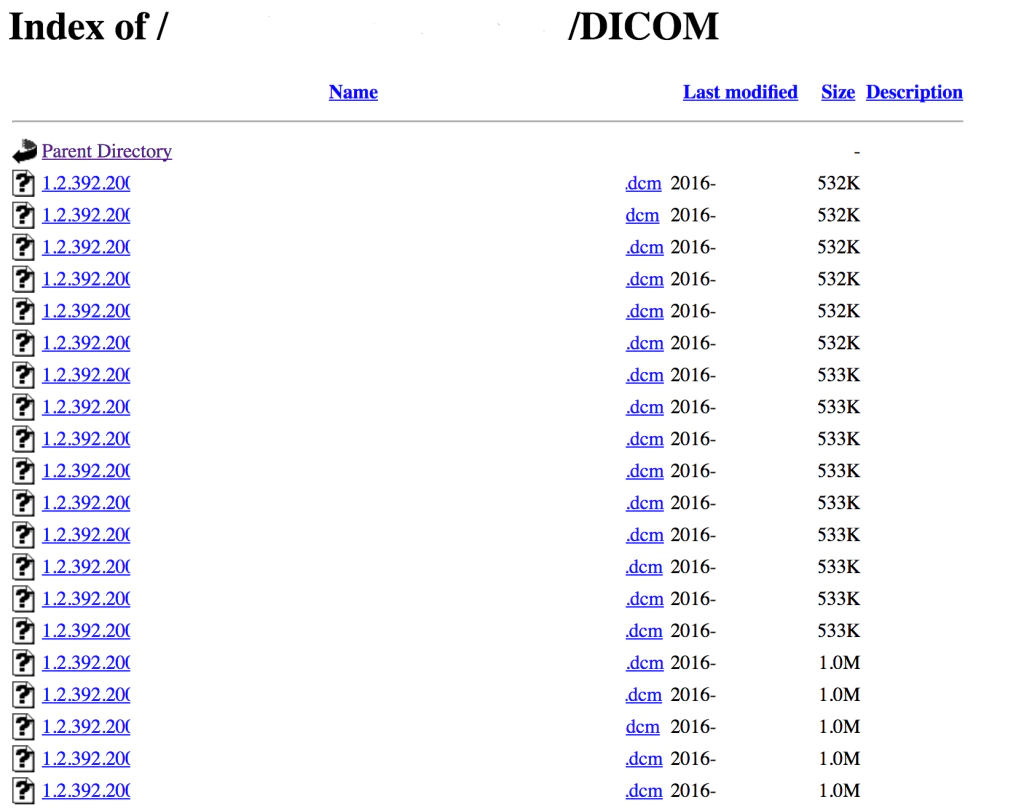 Figure 4. An open directory of images.