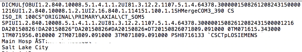 Figure 5. An example of the DICOM file format.