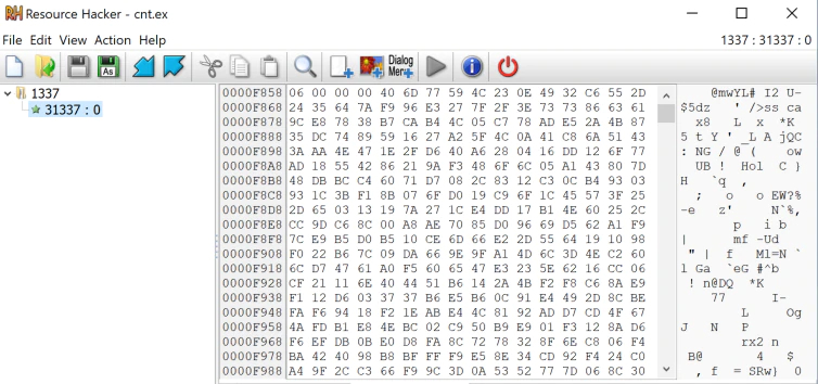 Figure 6. NetWalker resource from cnt.ex