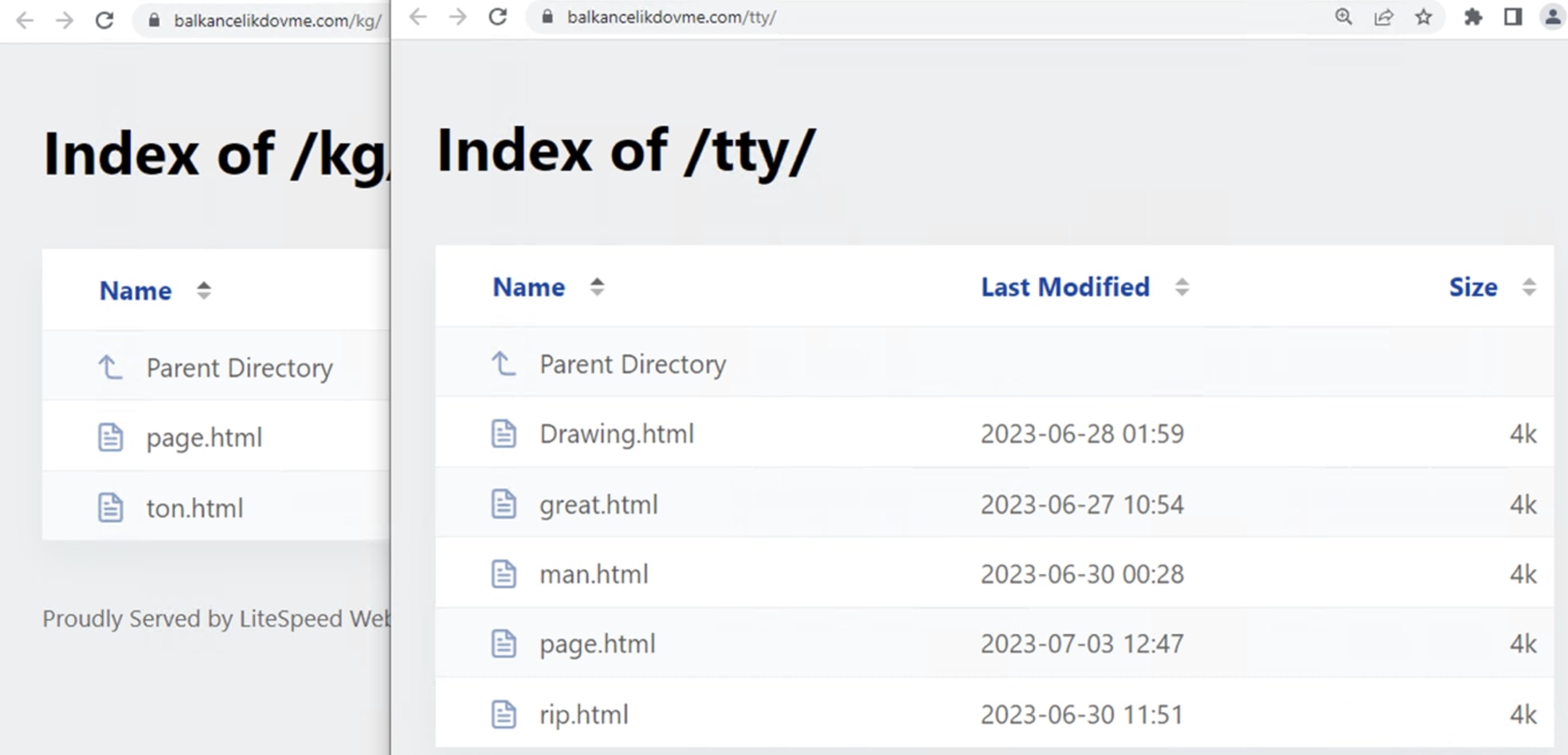 Figure 18: Multiple html used as initial attack vector found on compromised website