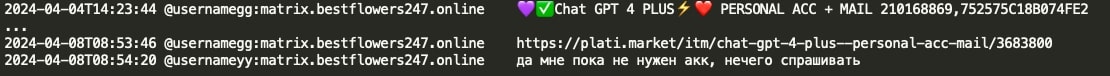 Figure 10: GG sharing ChatGPT account details bought from Plati
Market