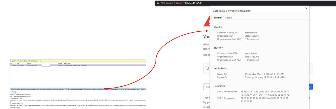 Figure 23: Typical Emotet Infrastructure Certificate