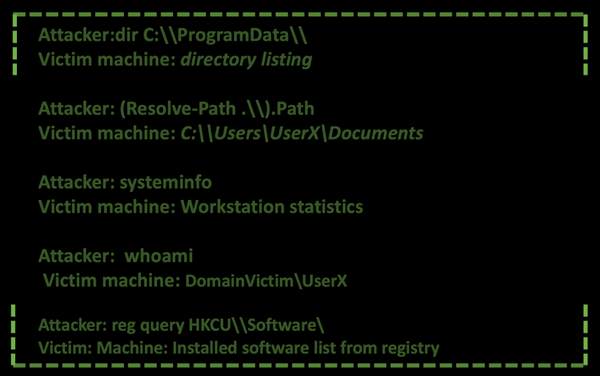 Figure 6. Reconnaissance commands on victims’ machines