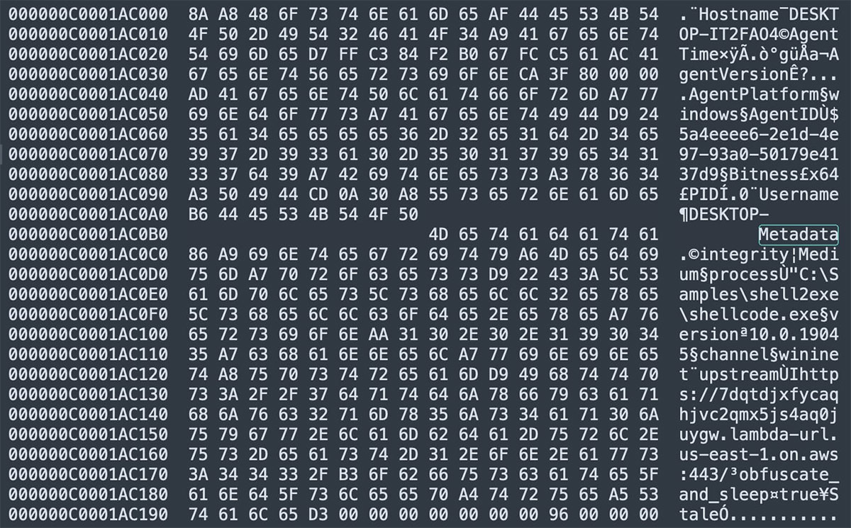 Figure 3: Hexdump of initial plaintext MessagePacked data before it is encrypted by RC4