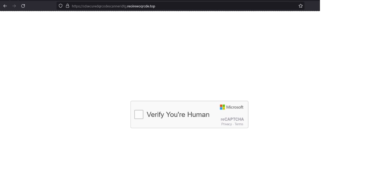 Fig 6: Snapshot of Captcha Evasion