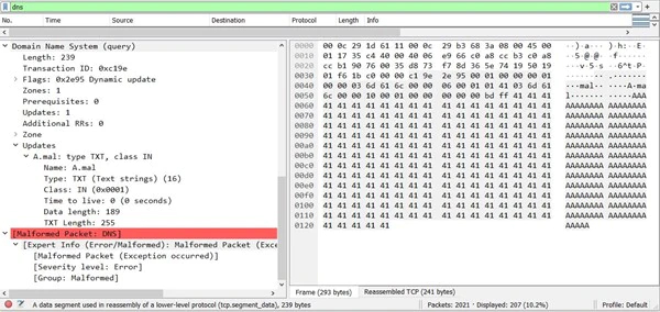 Figure 1: Wireshark view of exploit packet classifying the DNS packet as malformed