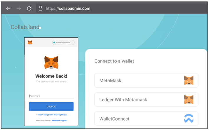 Figure 19 MetaMask phishing page