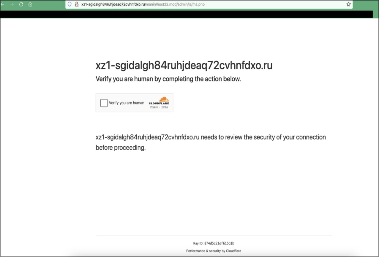 Figure 4: (Captcha Evasion Display)