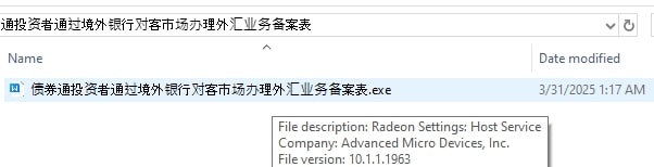 Figure 3: This figure shows SquidLoader metadata masquerading as legitimate AMDRRserv.exe.