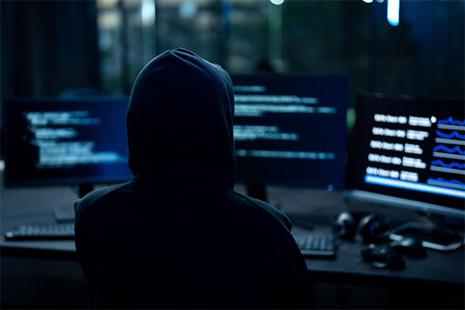 Dark Web Roast - August 2026 Edition