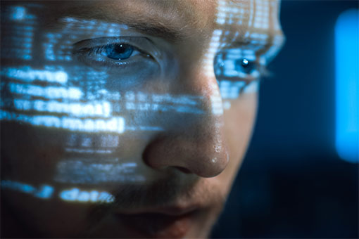 Dark Web Roast - June 2025 Edition