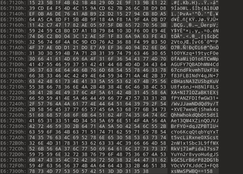 Bottom of the firmware update file.