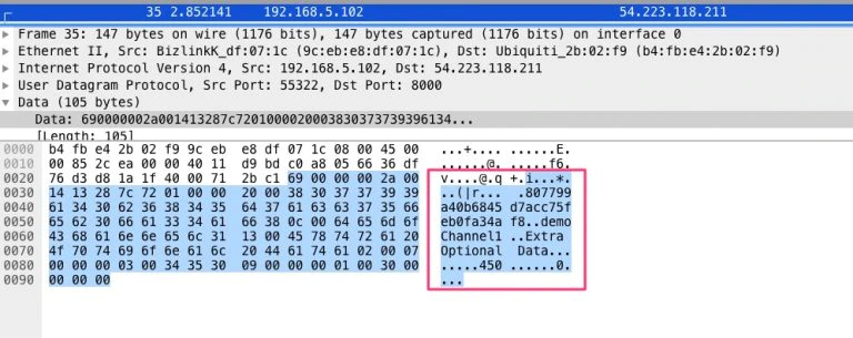 Figure 6: Wireshark capture of Agora traffic